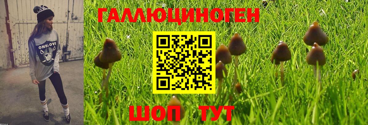 Галлюциногенные грибы мицелий  Вход с VPN  Орёл 