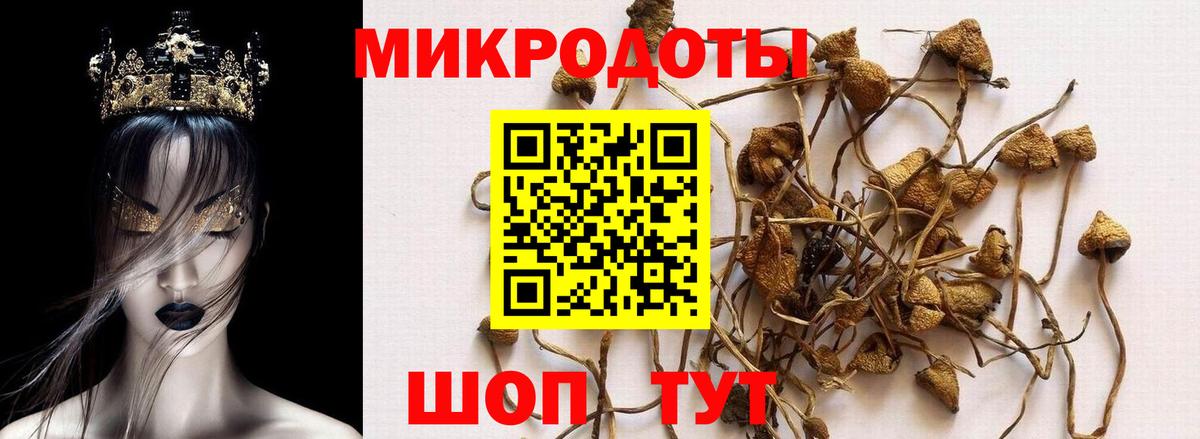 МЕФ Орёл